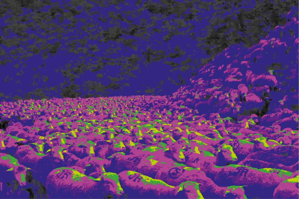 Une multitude animale envahit l’espace jusqu’à presque abolir la distinction entre paysage, mouvement et matière. Le troupeau ne se lit plus comme une succession d’individus, mais comme une masse vivante, dense et mouvante, qui traverse l’image de part en part.

Le traitement chromatique transforme radicalement la scène. Les violets profonds, les roses saturés et les éclats de vert acide détachent l’œuvre de toute représentation naturaliste. La transhumance devient ici un phénomène visuel : un déplacement collectif converti en vibration, en rythme et en flux.

À mesure que le regard parcourt l’image, les corps apparaissent puis se fondent les uns dans les autres. Les répétitions de formes construisent une matière presque abstraite, tandis que quelques silhouettes plus distinctes rappellent la présence concrète du vivant au cœur de cette densité.

La traversée vive ne cherche pas à documenter un déplacement pastoral. Elle en extrait l’énergie. Le paysage devient passage, la foule devient matière, et la couleur transforme un geste ancestral en vision contemporaine, presque irréelle.