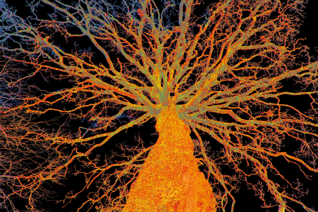 Cette image donne à voir un arbre monumental, saisi dans une vision presque hallucinée, où la nature semble devenir réseau, énergie et embrasement. Le tronc massif s’élève au centre de la composition comme une colonne vivante, avant de se déployer en une multitude de branches qui envahissent tout l’espace, jusqu’aux bords de l’image.

Le traitement chromatique transforme profondément le sujet. L’arbre n’est plus représenté dans des tons naturalistes, mais dans une palette de jaunes incandescent, d’orange brûlant, de rouge vif et de bleus électriques. Sur le fond noir, ces couleurs prennent une intensité spectaculaire : elles semblent faire rayonner l’arbre de l’intérieur, comme s’il était traversé par une force lumineuse ou nerveuse.

Les ramifications innombrables créent un effet visuel saisissant. Chaque branche se divise à son tour en d’autres ramifications plus fines, dessinant une structure qui évoque à la fois les veines, les éclairs, les racines, les réseaux neuronaux ou les cartographies du vivant. L’arbre devient ainsi plus qu’un arbre : il apparaît comme une figure de connexion, une architecture organique qui relie la matière, l’énergie et le mouvement.

La composition vue en contre-plongée accentue encore cette impression de puissance. Le spectateur semble placé au pied du tronc, regardant vers le haut, absorbé par cette expansion presque infinie. Cette perspective donne à l’image une dimension immersive et vertigineuse, comme si l’on entrait dans un monde où la nature se révèle dans toute sa complexité cachée.

L’œuvre peut ainsi être lue comme une célébration de la force vitale, de la circulation intérieure et de la mémoire du vivant. Elle parle autant de croissance que de tension, autant de beauté que de décharge. L’arbre y devient une présence cosmique, brûlante, vibrante, presque mentale.