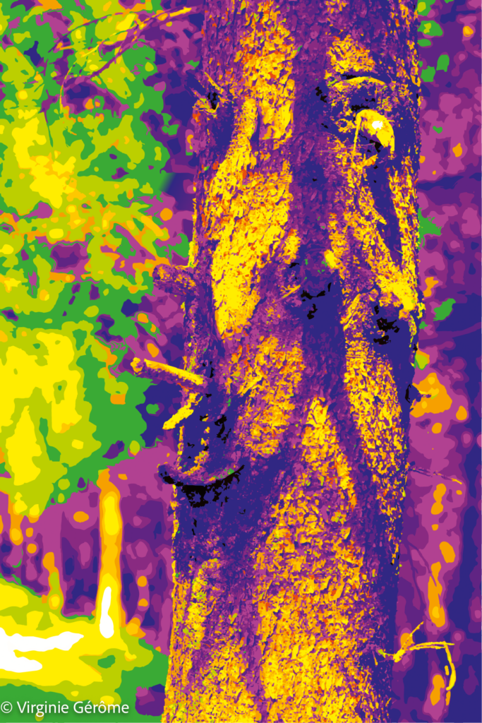 Le tronc d’arbre occupe presque tout l’espace, massif, vertical, comme une présence surgie au cœur de la végétation. Sa surface, traversée de jaune, de violet, de pourpre et de bleu profond, transforme l’écorce en une matière vibrante, presque électrique.

La lumière ne se contente plus d’éclairer le sujet : elle semble pénétrer le bois, en révéler les reliefs, les cicatrices et les formes dissimulées. Certaines aspérités du tronc évoquent un visage, une expression ou une figure silencieuse, sans jamais basculer complètement dans la représentation humaine. L’arbre demeure arbre, mais le regard y cherche spontanément une présence.

Autour de lui, le paysage éclate en verts acides, jaunes lumineux et violets saturés. La couleur s’éloigne volontairement du réalisme pour traduire une perception plus intérieure et sensible de la scène. Ombres et lumières deviennent alors des forces complémentaires : les zones sombres creusent la matière tandis que les éclats jaunes la font surgir vers le regard.

L’œuvre se situe ainsi à la frontière entre photographie, transformation numérique et perception imaginaire. Elle ne montre pas seulement un arbre éclairé : elle révèle ce que la lumière peut faire apparaître lorsque le réel commence à devenir vision.