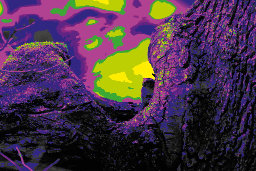 Résonance met en présence deux formes qui semblent appartenir à un monde vivant, mais indéfinissable.

Une bouche d’arbre s’ouvre dans l’espace tandis qu’une autre présence lui répond à distance. Rien n’est explicitement raconté : l’œuvre repose sur une tension, un échange silencieux, une forme de reconnaissance entre deux entités qui échappent à toute classification.

La couleur transforme le végétal en territoire fantastique et brouille les repères entre organisme, paysage et créature. Ce qui paraît familier devient autonome, presque conscient.

L’œuvre explore ainsi la possibilité d’un langage sans mots, construit uniquement par les formes, les distances et les vibrations visuelles. Résonance ne montre pas une scène à comprendre, mais une relation à percevoir.