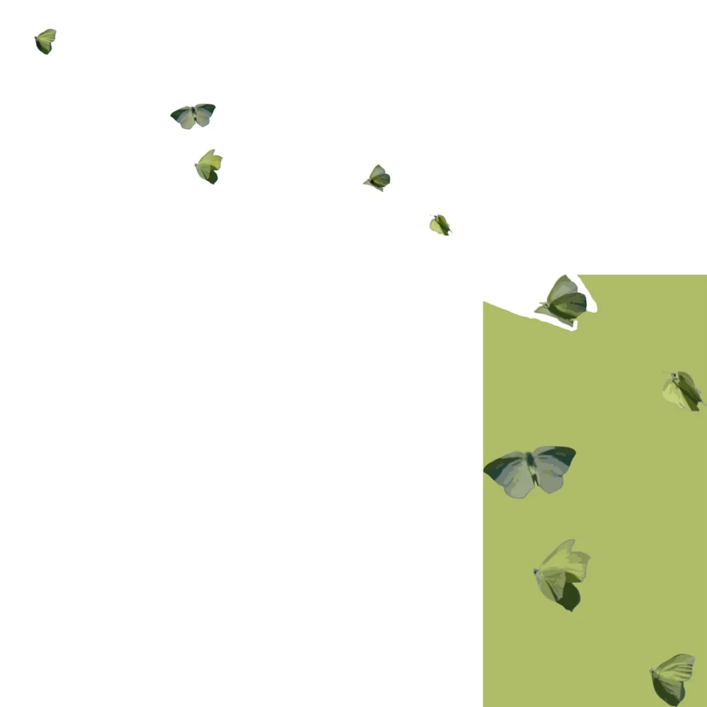 Cette image met en scène un envol de papillons dans une composition très épurée, dominée par le blanc et le vert tendre. Le vaste espace vide devient ici un élément essentiel : il donne aux papillons une impression de légèreté, de distance et de liberté.

Les insectes semblent suivre une trajectoire ascendante et irrégulière, comme s’ils quittaient progressivement la zone verte située à droite pour gagner l’espace blanc. Leur dispersion crée un rythme visuel doux, presque musical. Certains papillons sont proches, d’autres déjà très éloignés, ce qui suggère différents moments d’un même mouvement.

Le rectangle vert agit comme une zone d’origine, un espace plus dense, plus concret, presque terrestre. À mesure que les papillons s’en éloignent, ils entrent dans un territoire vide, lumineux et indéfini. Cette opposition entre la surface colorée et le blanc peut évoquer un passage entre deux états : entre l’ancrage et l’émancipation, le connu et l’inconnu, l’intérieur et l’extérieur.

Les nuances de vert, de jaune et de gris renforcent le lien avec le végétal et donnent aux papillons une apparence naturelle tout en restant graphique. Leur traitement simplifié et légèrement pictural les transforme en signes davantage qu’en représentations réalistes.

L’image peut ainsi être lue comme une métaphore de l’émancipation et du déplacement. Chaque papillon semble suivre sa propre trajectoire, tout en participant à un mouvement collectif. Le vide n’apparaît pas comme une absence, mais comme un espace disponible : un territoire dans lequel quelque chose peut encore advenir.

L’ensemble dégage une sensation de silence, d’ouverture et de transformation, comme l’instant précis où l’on quitte un cadre pour commencer à tracer son propre chemin.