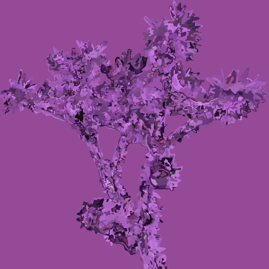 Cette image présente une forme végétale ou minérale suspendue, entièrement immergée dans une palette de violets, de mauves et de lilas. Sur un fond uni, la silhouette centrale se détache comme un organisme flottant, entre branche, corail, fleur séchée et apparition abstraite. L’ensemble semble à la fois solide et instable, comme s’il était saisi dans un état de transformation continue.

Le traitement graphique simplifie les volumes tout en accentuant les contours. Les formes sont découpées en aplats et en masses irrégulières, ce qui donne à l’image une dimension presque cartographique ou topographique. On a l’impression que la matière se fragmente, se densifie, puis se redéploie sous nos yeux. Les détails foisonnants créent une sensation de texture vive, presque électrique, malgré l’unité chromatique.

La composition repose sur un équilibre singulier : une base plus étroite soutient un déploiement latéral et vertical plus ample, comme si cette forme cherchait à s’étendre dans plusieurs directions à la fois. Cela lui donne une allure d’organisme vivant, en croissance, en ramification, en prolifération. Ce n’est pas une image fixe au sens classique : elle semble animée d’un mouvement intérieur.

Le monochrome violet joue ici un rôle essentiel. Il unifie la composition tout en lui donnant une forte charge symbolique. Le violet peut évoquer à la fois la rêverie, l’étrangeté, l’intériorité, mais aussi une forme de luxuriance contenue. Cette couleur transforme l’objet représenté en une présence mentale plus qu’en un simple élément naturel.

L’œuvre peut ainsi être lue comme une exploration de la métamorphose, de la matière vivante et de la frontière entre figuration et abstraction. On croit reconnaître une branche, une floraison, une excroissance, mais rien ne se laisse totalement nommer. C’est précisément cette hésitation qui fait la force de l’image : elle ouvre un espace d’interprétation, où le regard oscille entre le réel, le rêve et l’invention.